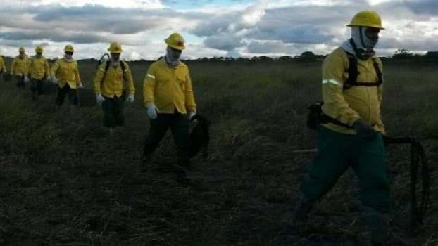 Inscrições abertas para brigadistas florestais temporários com remuneração em Minas Gerais