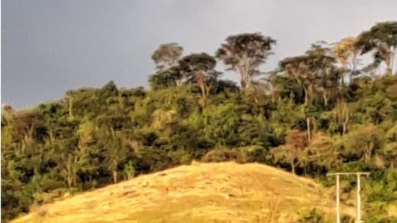 Trilheiro de 67 anos morre em região montanhosa de Caratinga