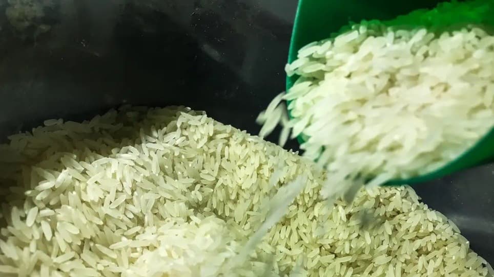 Governo libera compra de 1 milhão de toneladas de arroz para garantir abastecimento nacional