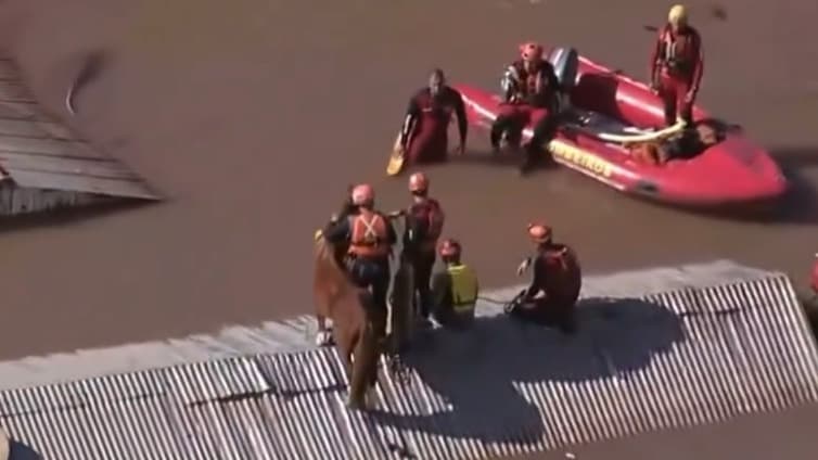 VÍDEO: Cavalo em Canoas é resgatado após ficar ilhado em telhado devido a enchentes no RS